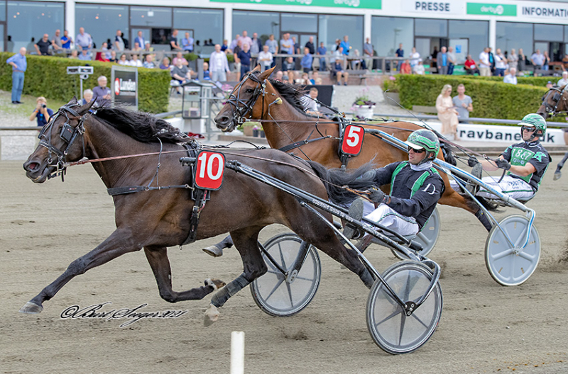 Derby - Sådan vælger de spor FOX_ON_THE_RUN_S2_5168