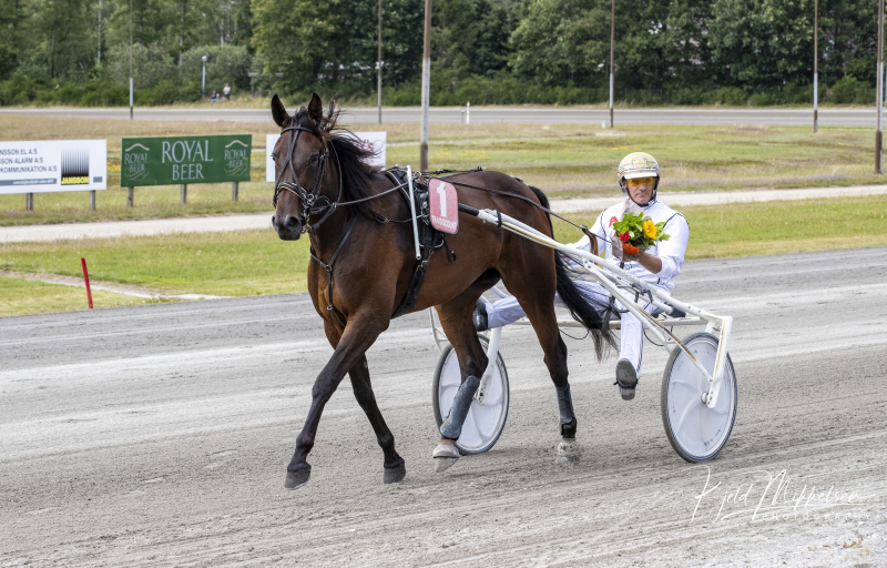 Finest Aveve B Svendsen