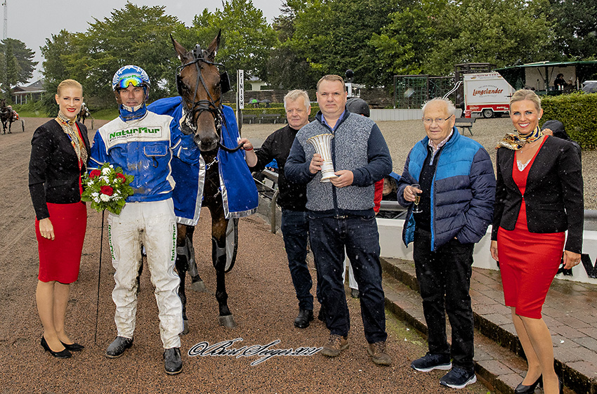 GLORY HOLMSMINDE D2I2612