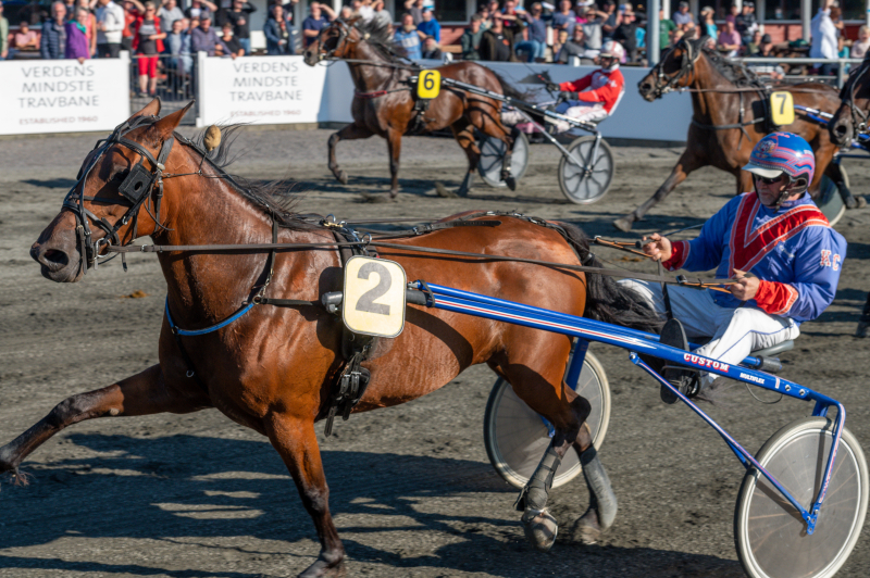 No go med Kenn Christoffersen 31 august 2021 Fotograf Torben Ager Travfoto Bornholm TKA 9053