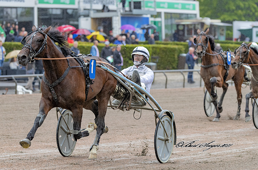 Dansk sejr – Det var voldsomt Trav Charlottenlund