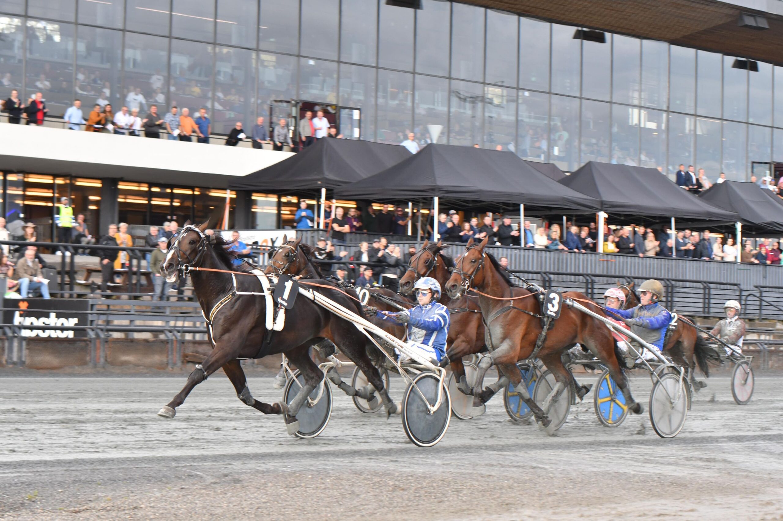 Andenplads til Kim Pedersen i Norsk Trav Kriterium 241738419_406404527587880_5879381535347162299_n
