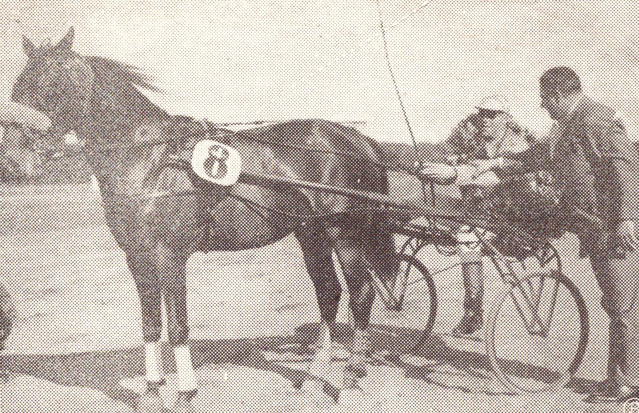 Tuborg Jysk 2-års Grand Prix afgøres på søndag DAN GUY og GUNNAR VANG ANDERSEN