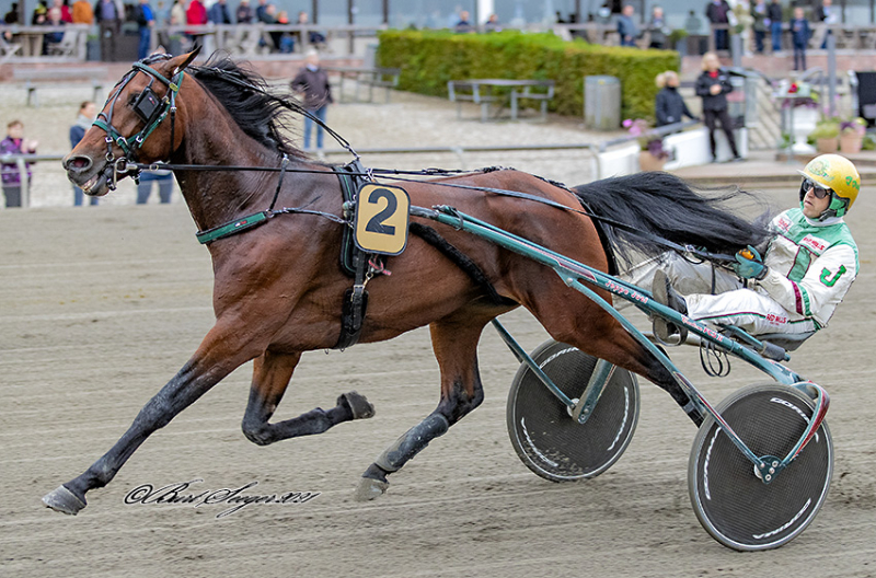Vender derbyfavoritten tilbage på vinderpladsen GARFIELD_S2_9433