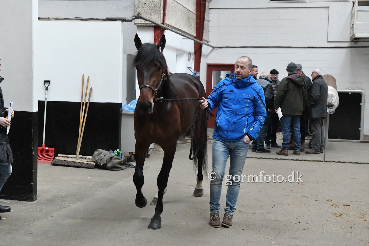 Den manglede Peter i samlingen dontpaytheferryman 2