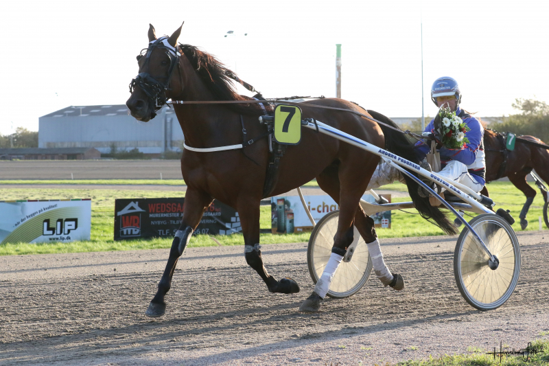 Freja Henley