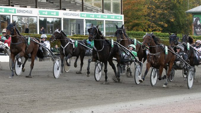 Andelsspil – V4, V5 og V75 udbydes i dag BalooIce_7958_211017-678x381