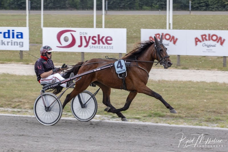 C KM FOTOC95F9328 Eagle Bat Anders F Jensen 1