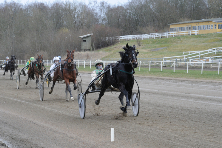 Udland – Den galop kostede Fortnite-5421-722x480