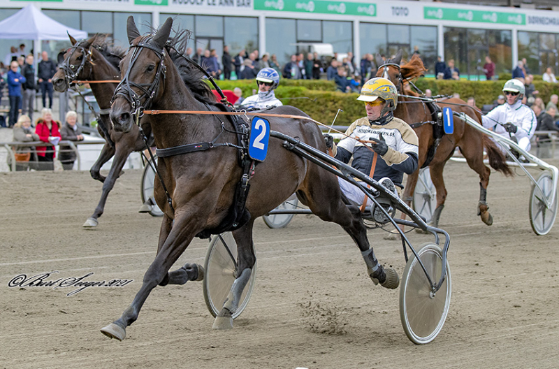 Ny sejrshest fra Morten Juul GIANTISSIMO_S2_0203