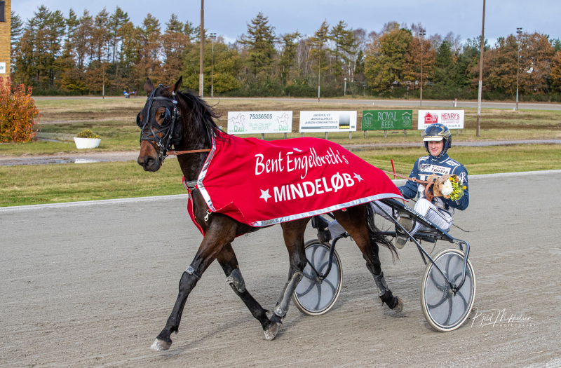 Sådan er det gået i Billund Hexham Downs