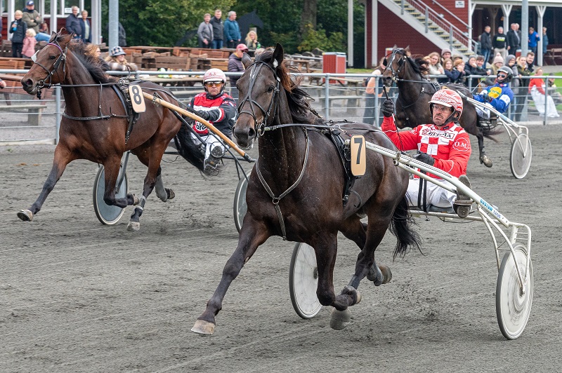 Kan Lord Ravin også på Jægerso Lord Ravin med Ole Møller 2 oktober 2021 Fotograf Torben Ager -