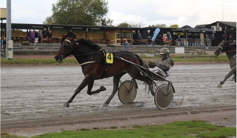 Staro Next Move 211014