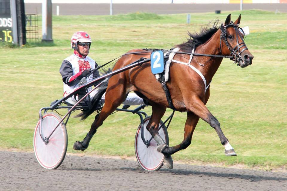Fra V75-start til Odense Ups Simoni