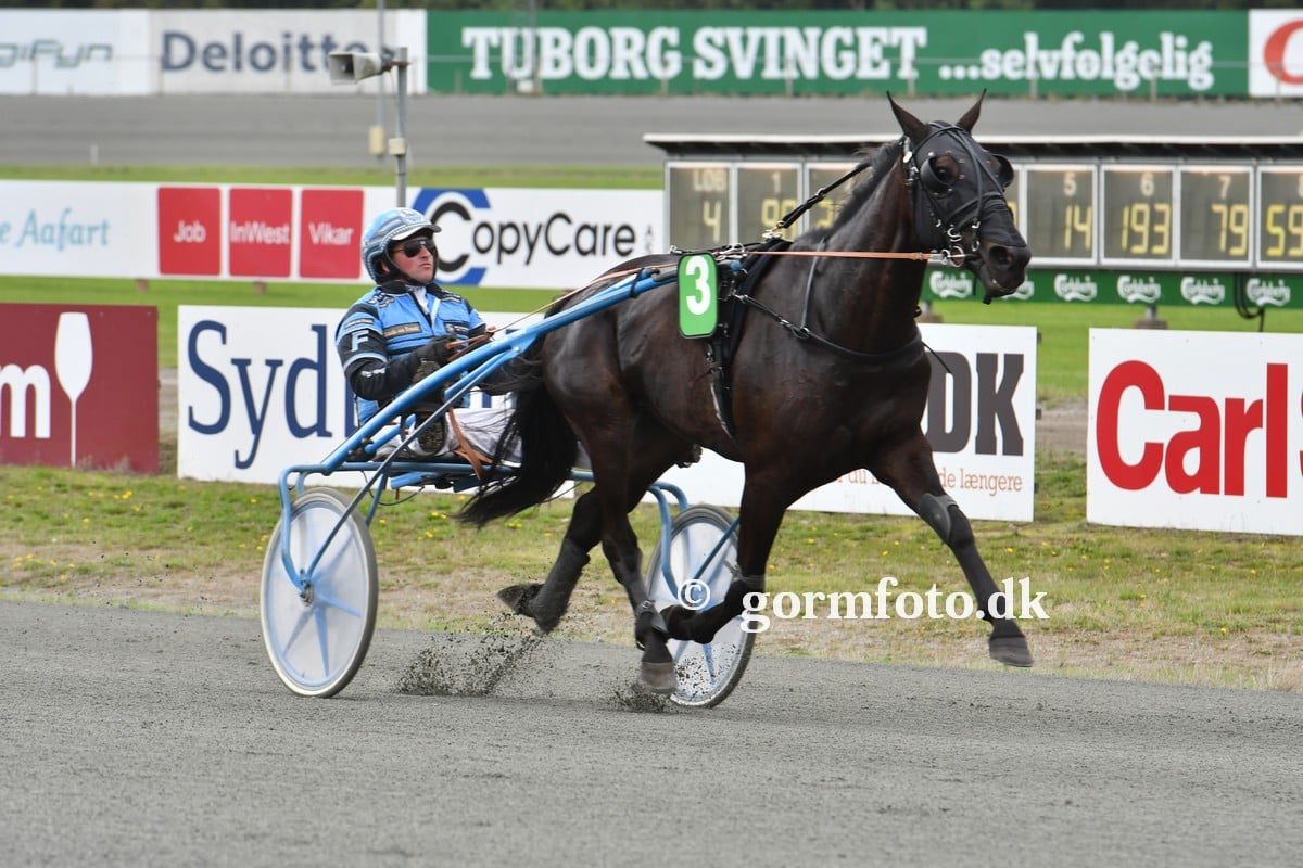 Amerikansk 09-traver udbydes 119415074_1736677426507580_8974279077522157031_o