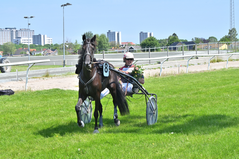 GOURASI DSC 5311