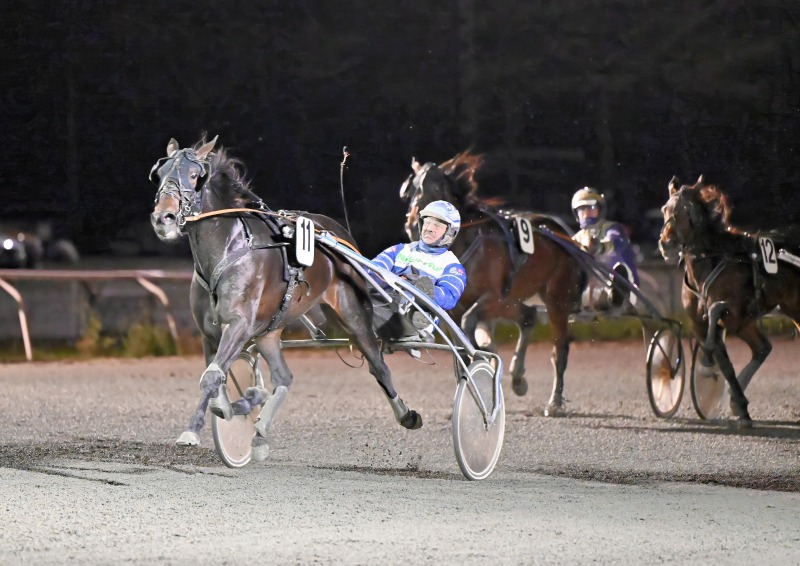 GazelleDiDamgaard 211126