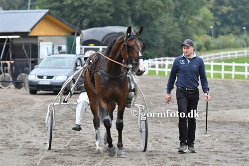 Magnus-Ladegaard-i-Odense-27920_500x333