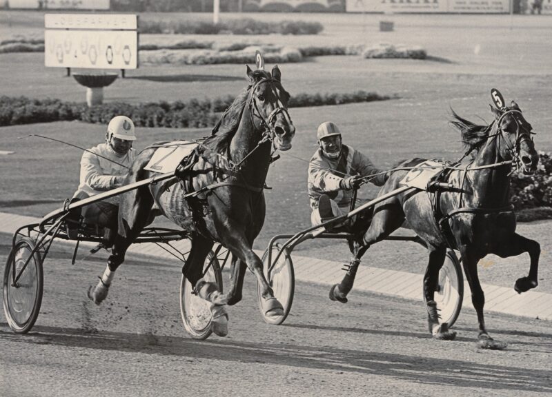 Fik i set 1-0 til Danmark – Tarok Semint Tarok Koster 1977 Foto BS (1)