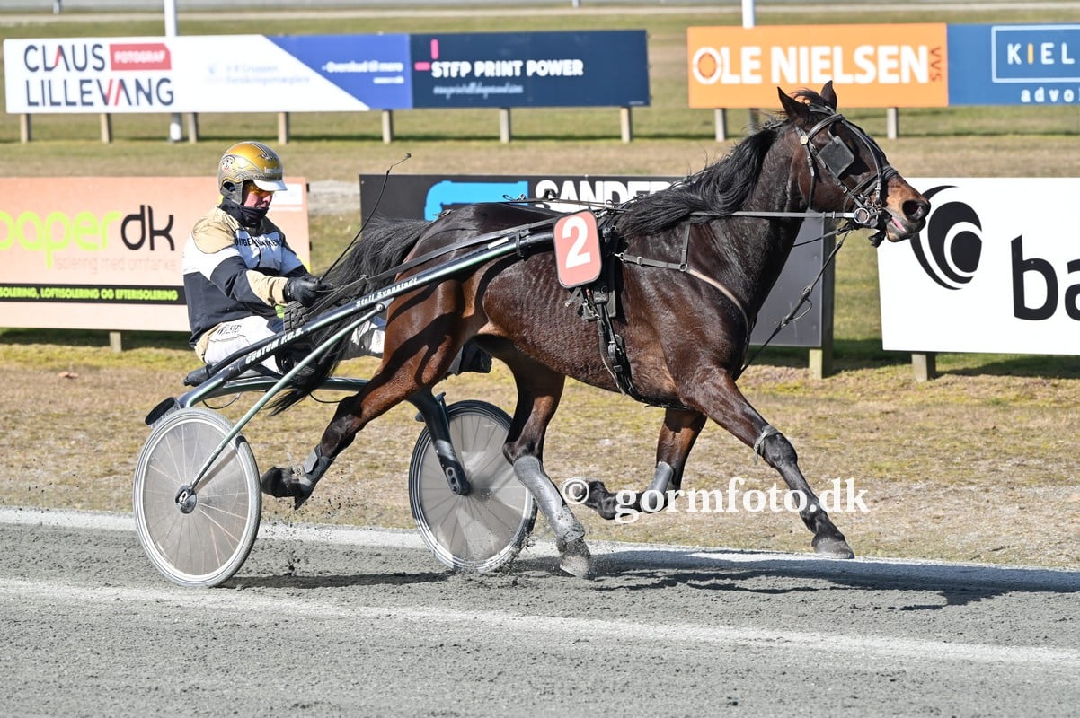 Til salg - Starter i morgen 163001328_1905770932931561_2091483923495021413_n