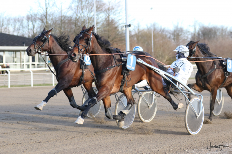 Jalka vandt 2-åringernes Efterårsserie, Finale. Jalka