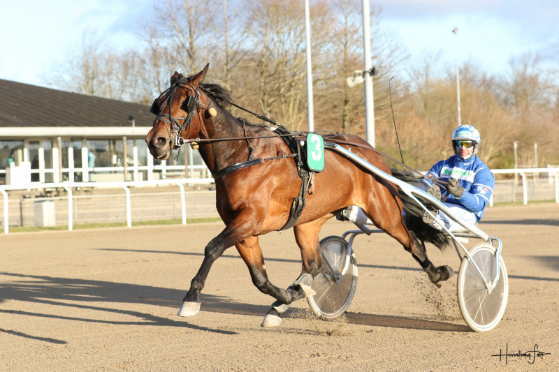 Kriteriedeltager har fundet melodien Golden Bay