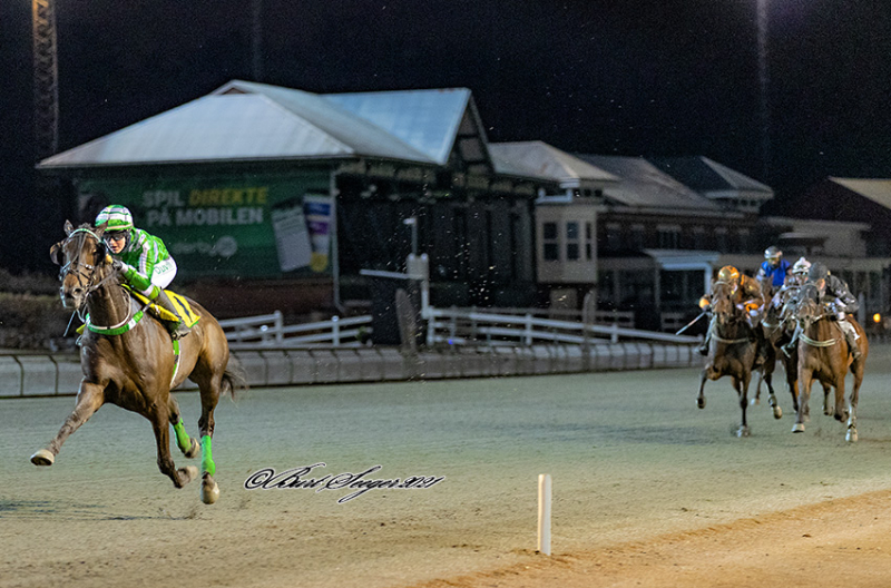 Gammelgård montéchampion på Lunden Diamond-Flame-211205
