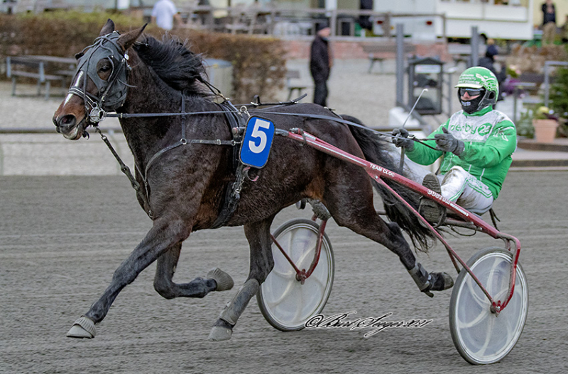 I.C Tvede Memorial – Henri Cloc efter perfekt rejse HENRI_CLOC_S2_2765