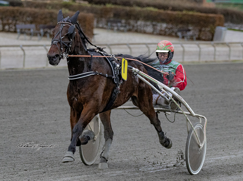 Sådan gik det på Lunden (Opdateres) SIR_FLAX_S2_2605