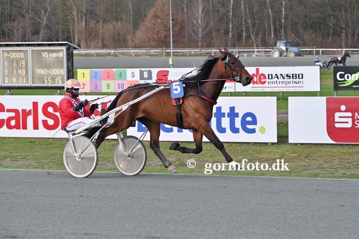emil lund4
