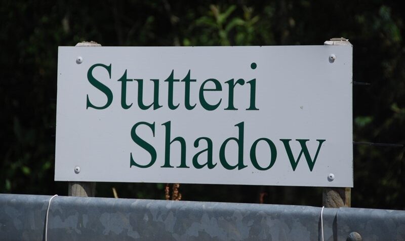 Stutteri Shadow e1701871780426