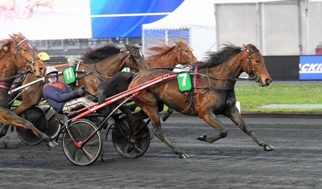 Bazire bliver hjemme CD-PRIX-YONKERS-RACEWAY
