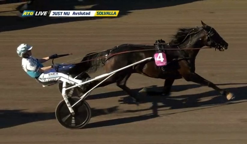 Don Fanucci Zet inviteret til Elitloppet 2022 Don-Fanucci-Zet-30521
