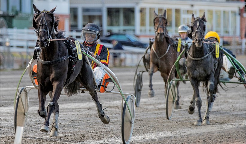 Ny hest til Ruben Kristensen EAGLE_MERCI_271019