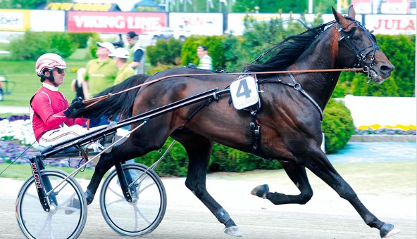 Ny pris på Lavec Kronos lave