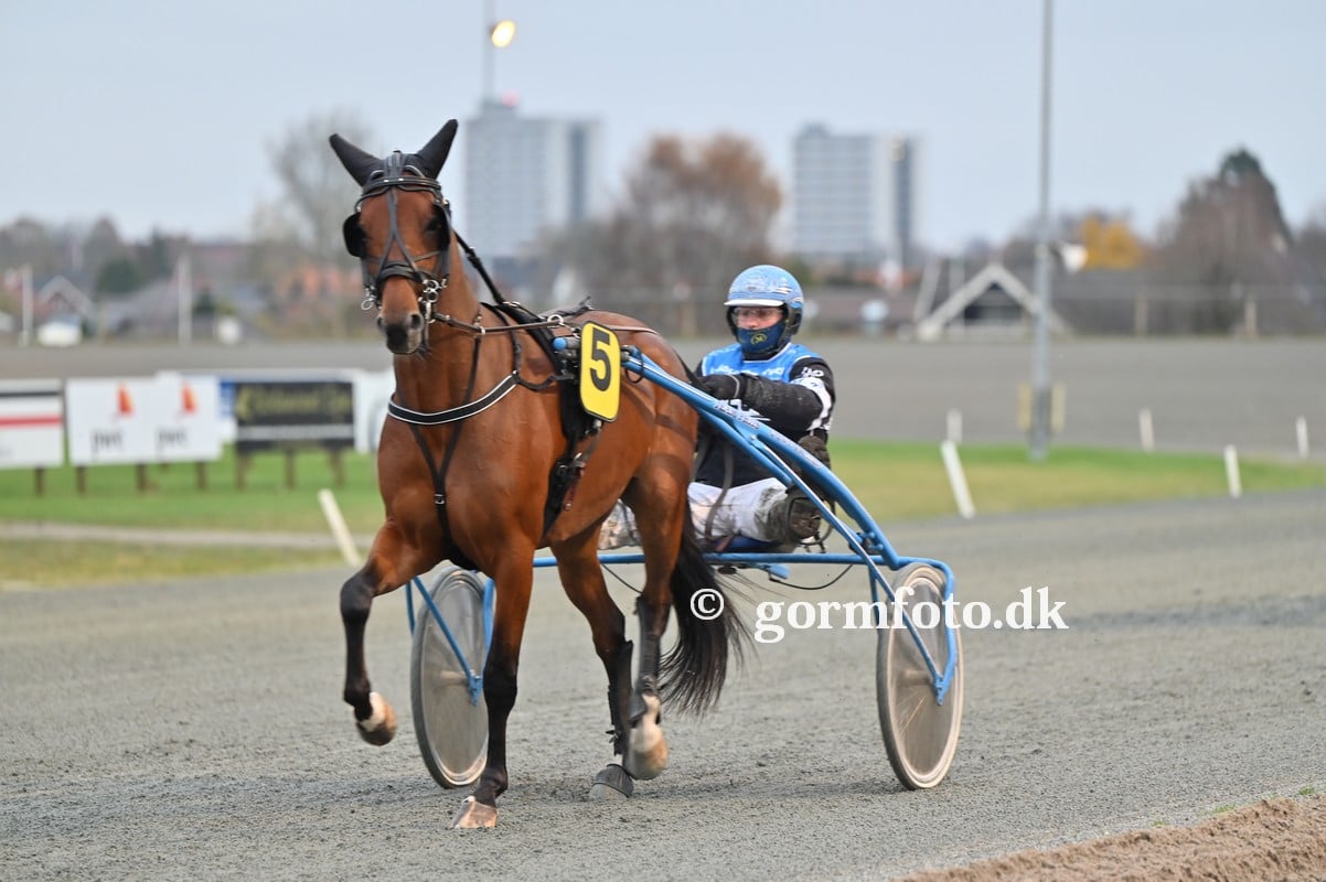 Hurtigt salg af Gaston Design 257115524_2090288497813136_3182818980265981777_n