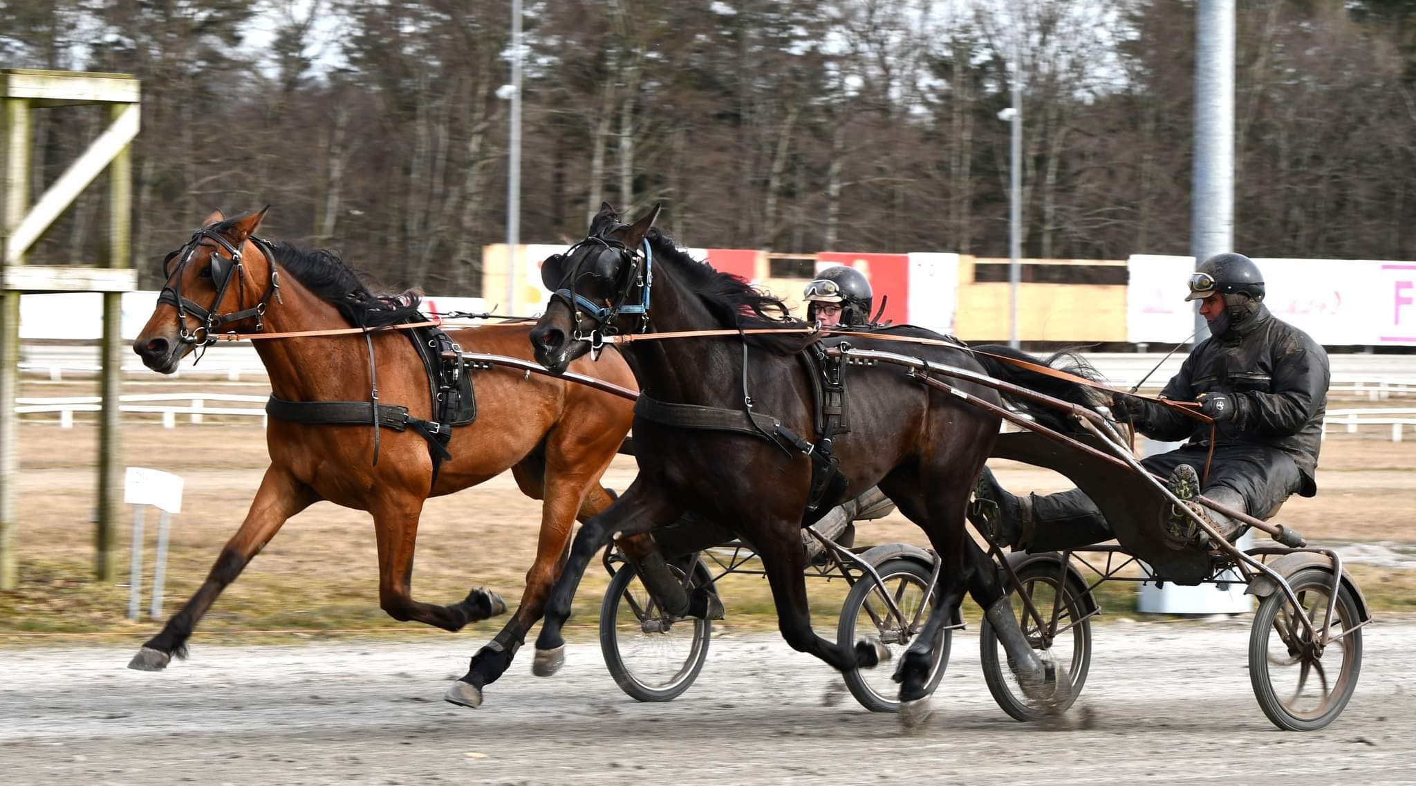 Borgmesteren med to af tre 2-åringer på søndag 276033732_3252923944940986_1546436403715477316_n
