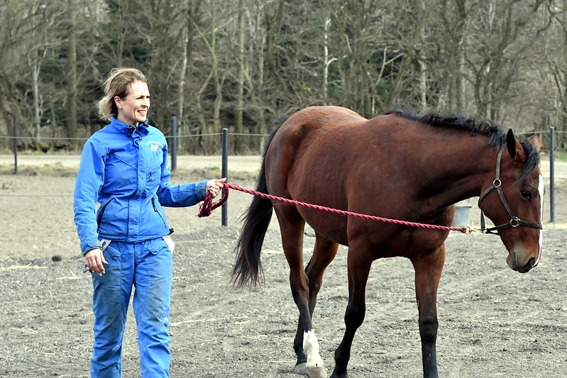 Martge Westergaard