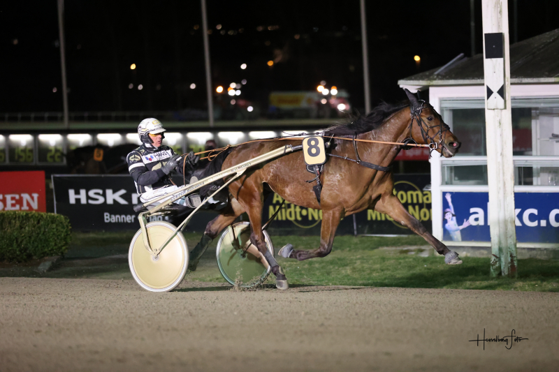 First One Diamond – Stærkt trænerarbejde 895A7904