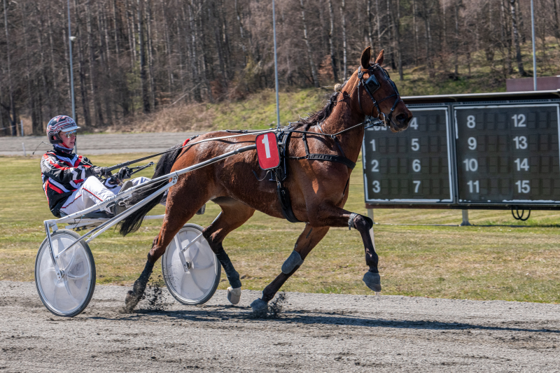 Best of Magic med Micki J rgensen TKA 8281