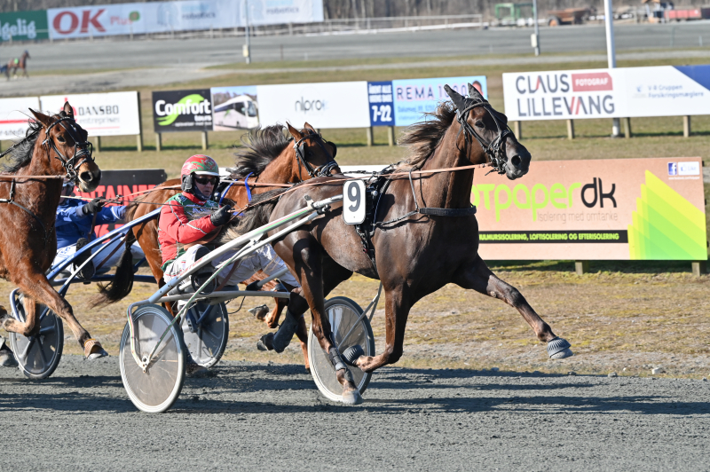 Fynsk hesteejer med to sejre HERNANDO_DSC_4159