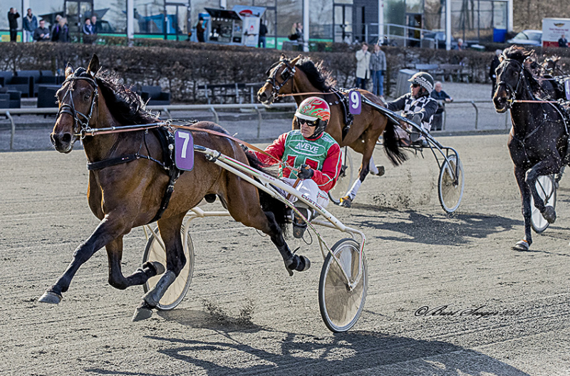 Lunden - De øvrige løb HOTLINER_S2_5449