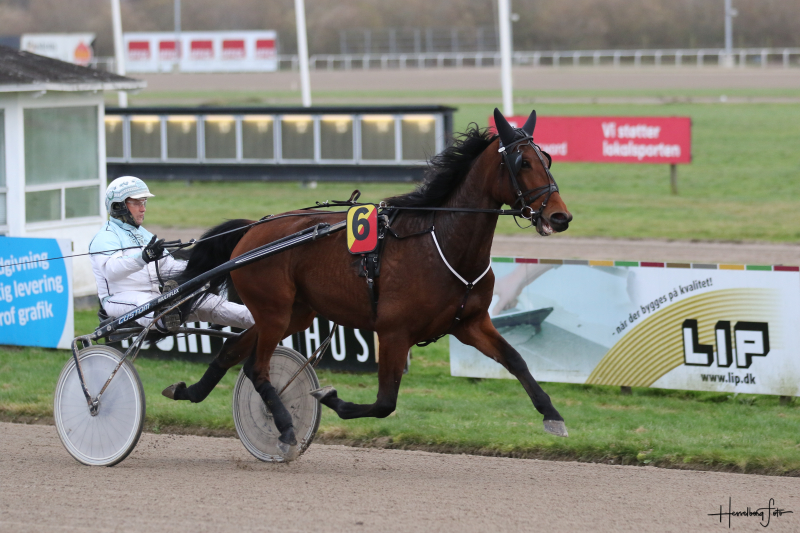 Stutteri Spring med debutant 3M1A8642