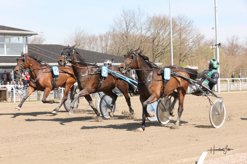 Liga 3 – Finale til Son Of Sizzling Son Of Sizzling