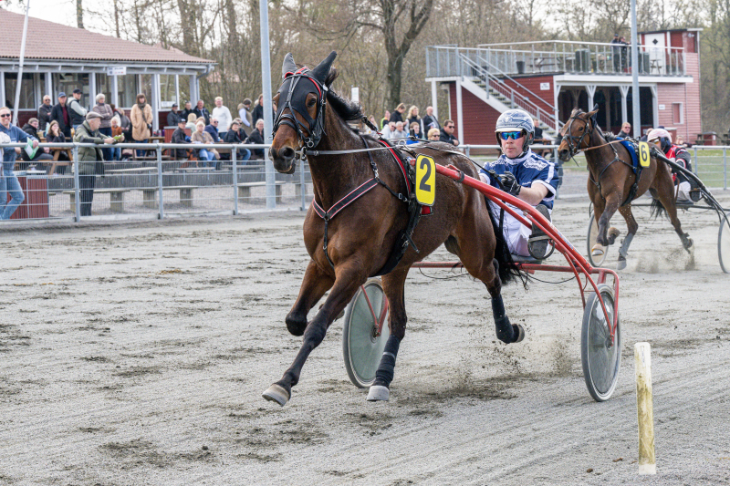 Sådan gik det på Bornholm Donerailrose_med_Martin_Sj_holm_Jensen_30_april_2022_Fotograf_Torben_Ager_Travfoto_Bornholm_TKA_5052