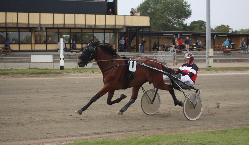 Sejrshest i sæsondebut – Evoque Evoque-200903