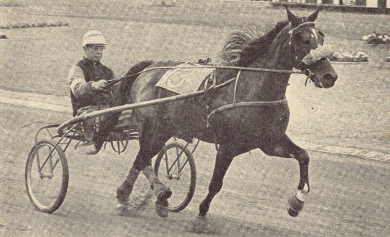 Jacqueline Axworthy Boerge Grandahl e1650724252583