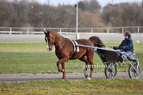 Jasmin Sørensen starter nyindkøbet i Odense Soerensen-Jasmin-traeningsarbejde_500x333