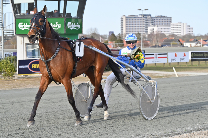 Bo Westergaard har sagt farvel til tre heste TASTE_OF_DIAMONDS_DSC_6755