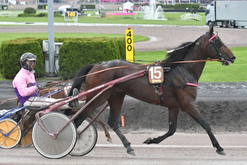 Fransk vinder af Harper Hanovers 283363370_1832980687043226_8573840374591425706_n